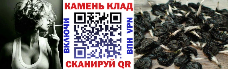 Купить  Волжск  Гашиш AMNESIA HAZE 