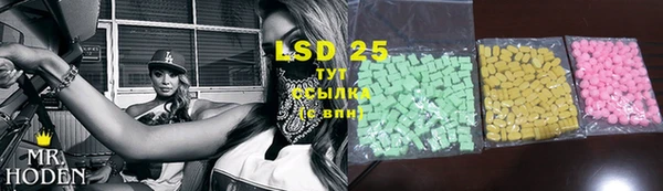хмурый Гусев