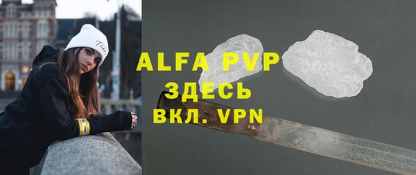 хмурый Гусев