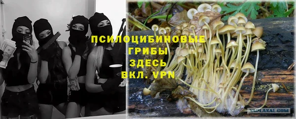 хмурый Гусев