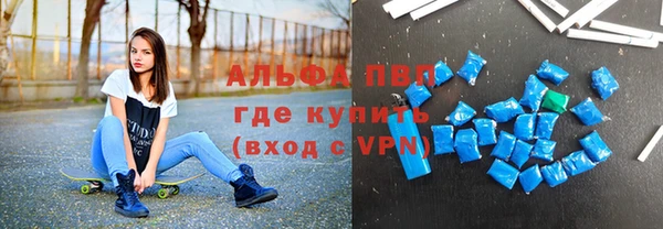 прущие грибы Гусь-Хрустальный