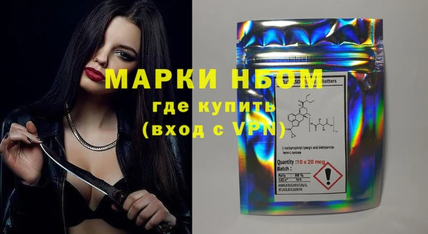 прущие грибы Гусь-Хрустальный
