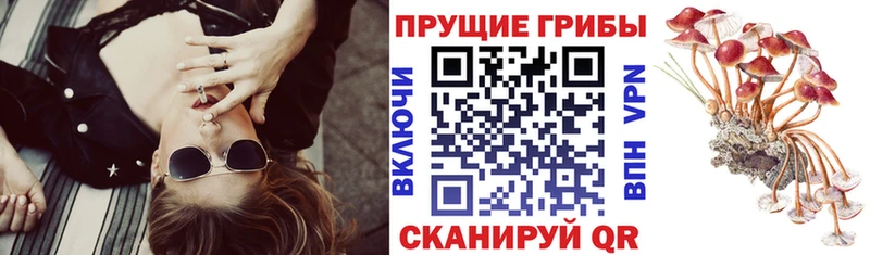 Галлюциногенные грибы MAGIC MUSHROOMS  Купить где  Волжск 